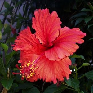 Meet your Posher, Brooklyn